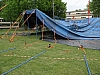 IMG_3169.JPG