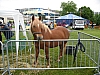 IMG_3254.JPG