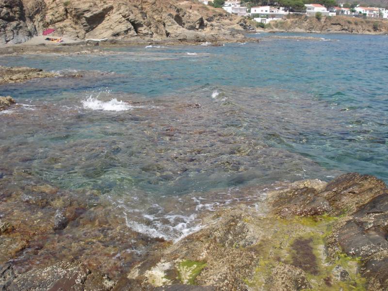 DSC00722.JPG