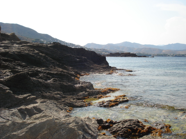 DSC00753.JPG
