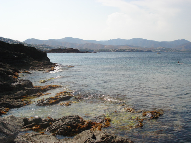 DSC00754.JPG