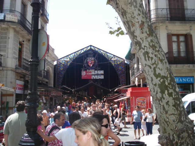 DSC00781.JPG