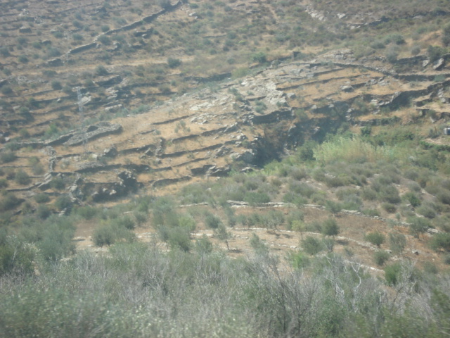 DSC00844.JPG