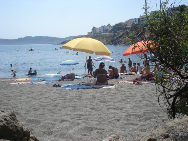 DSC00882.JPG