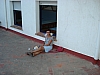 DSC00630.JPG