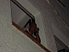 DSC00673.JPG