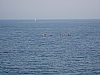 DSC00723.JPG