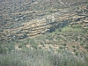 DSC00844.JPG