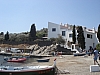 DSC00855.JPG