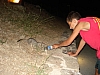 DSC00875.JPG