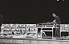 0031.jpg