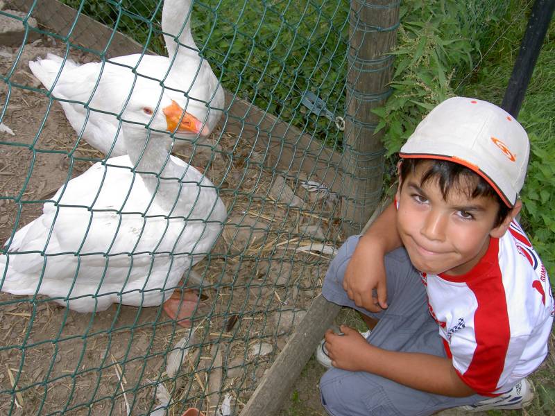 PICT1642.JPG