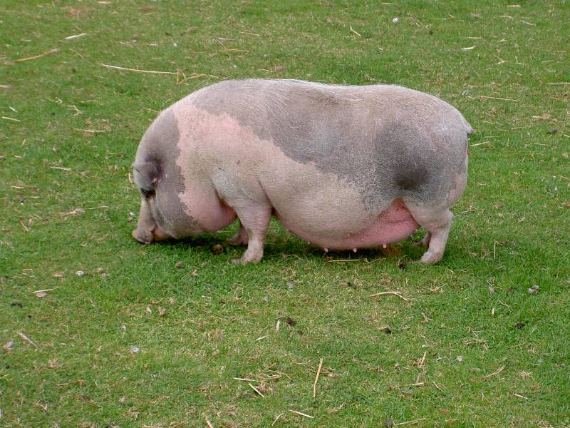 PICT1649.JPG