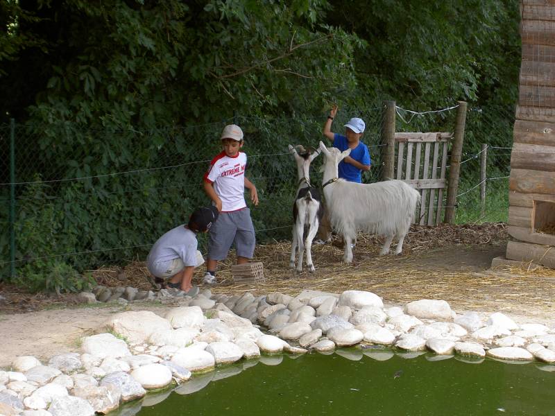 PICT1659.JPG