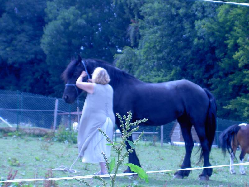 PICT1670.JPG