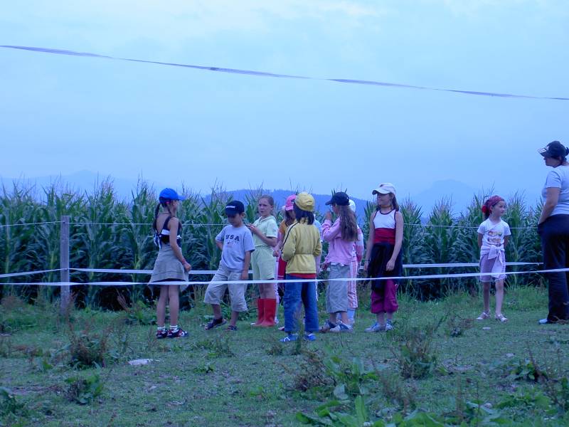 PICT1681.JPG