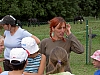 PICT1647.JPG