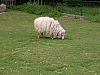 PICT1652.JPG