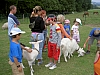 PICT1653.JPG