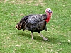 PICT1655.JPG