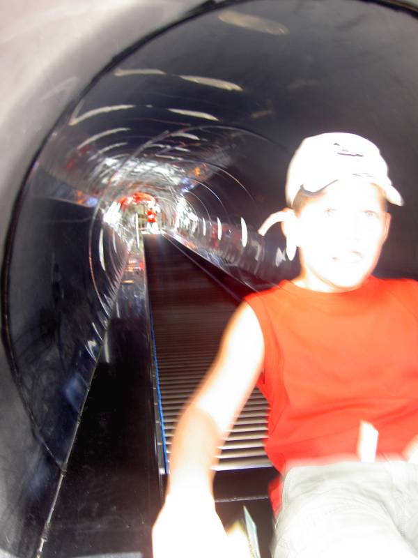 PICT0593.JPG