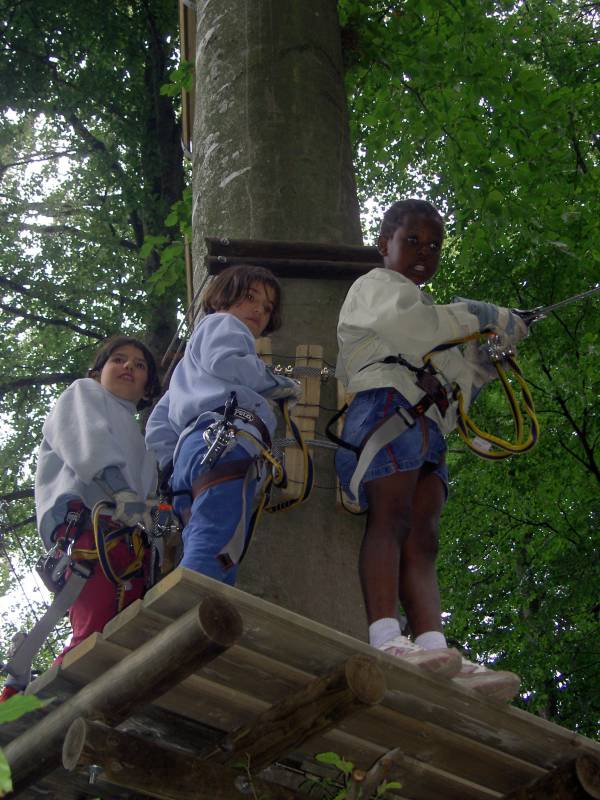 PICT0806.JPG