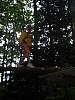 PICT0793.JPG