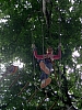 PICT0801.JPG