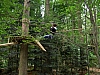 PICT0804.JPG
