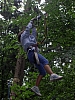 PICT0809.JPG