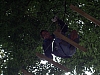 PICT0833.JPG