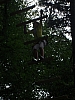 PICT0835.JPG