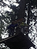 PICT0838.JPG