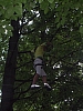 PICT0839.JPG