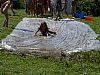 PICT1116.JPG