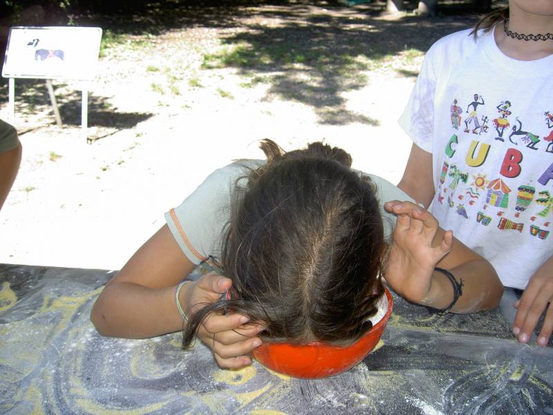 PICT1350.JPG