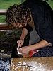 PICT0006.JPG