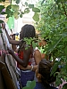PICT1287.JPG