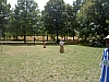 PICT1372.JPG