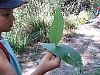 CA2006 023.jpg