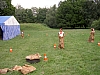 PICT0376.JPG