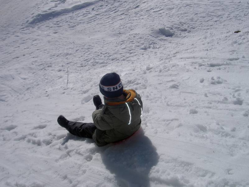 PICT2303.JPG