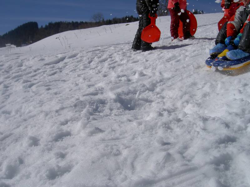 PICT2318.JPG
