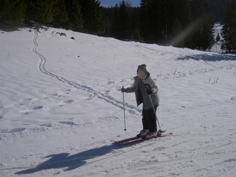 PICT2319.JPG