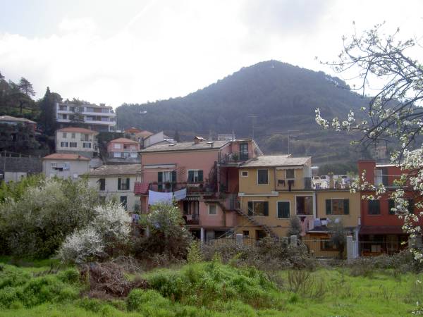 PICT0809.JPG