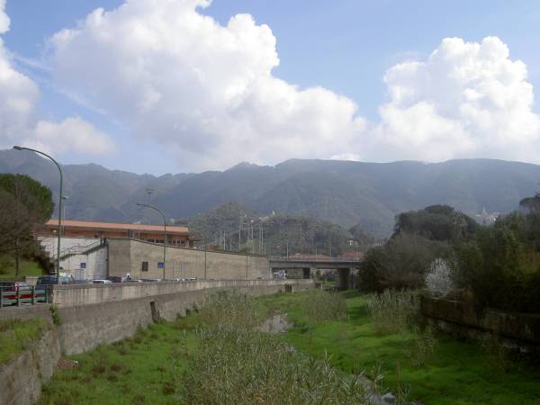 PICT0810.JPG