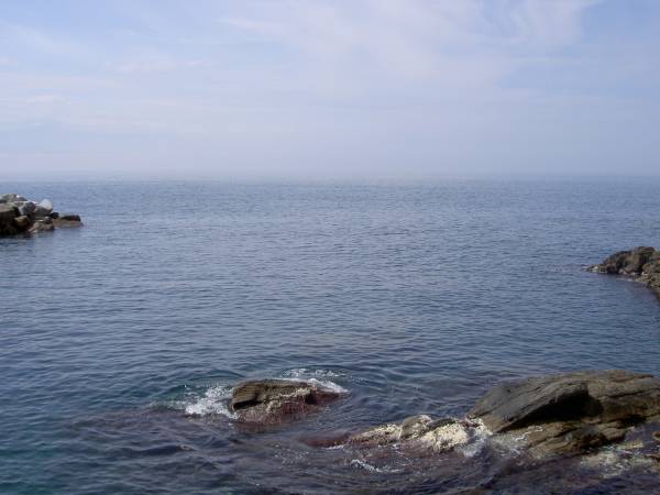 PICT0816.JPG