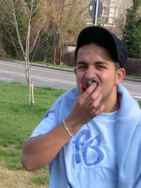 PICT0906.JPG