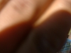 DSCF0073.JPG
