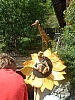 DSCF0164.JPG
